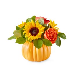 Pumpkin Dream Bouquet from Victor Mathis Florist in Louisville, KY